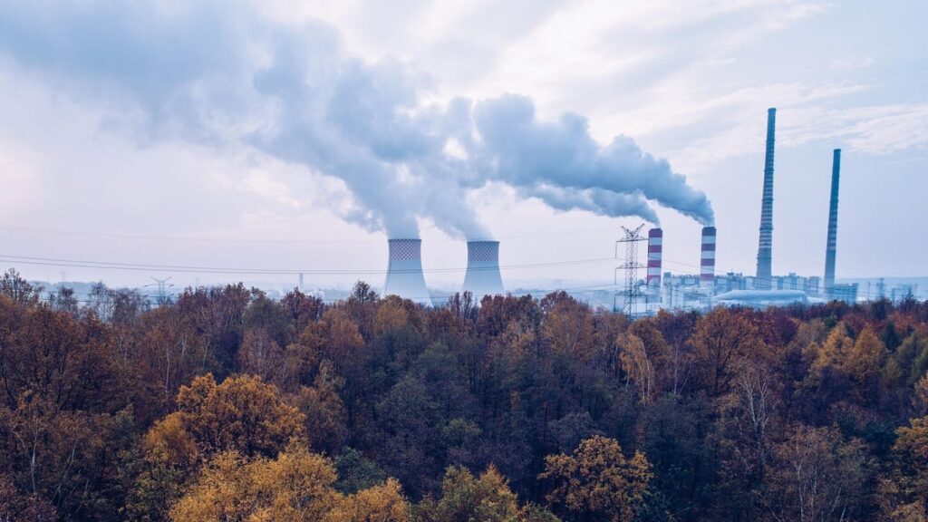 Study: Air pollution Makes Human Bones More Brittle