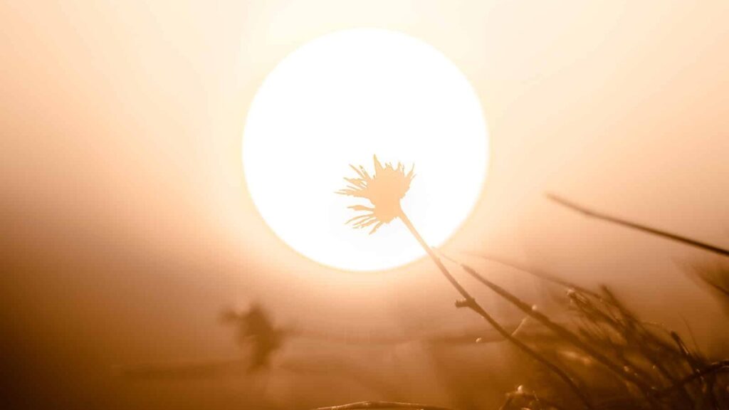 Scientists Detect The Sun’s Highest-Energy Light Ever Seen